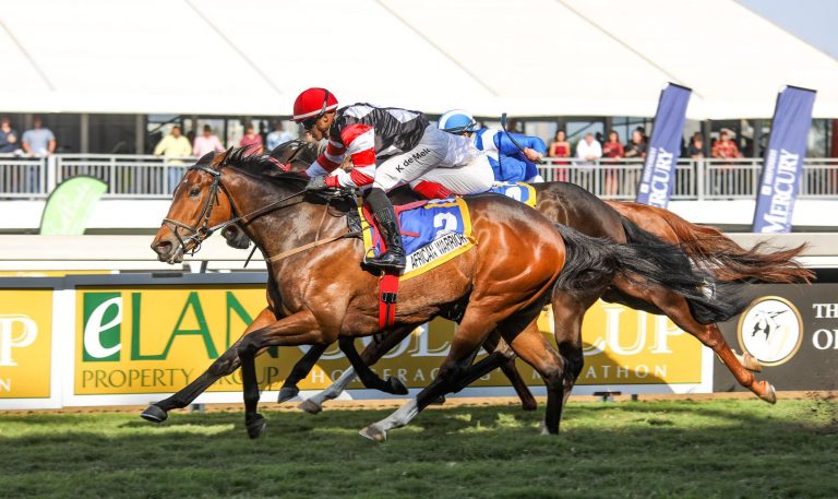 Read more about the article BOLAND STUD OFFER TOP DRAFT AT NATIONAL YEARLING SALE
