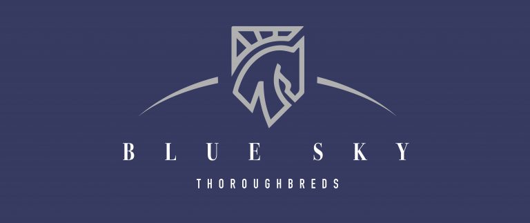 Read more about the article AUGUST RUSH SIBLING A STANDOUT IN BLUE SKY THOROUGHBREDS DRAFT