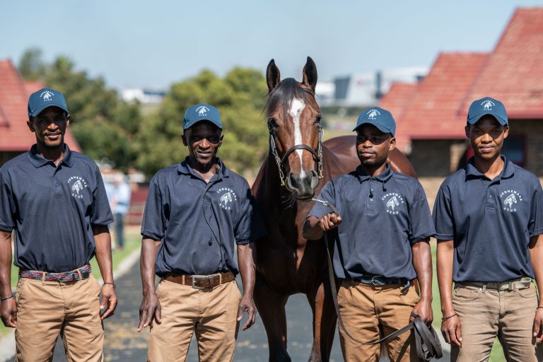 Read more about the article CONNEMARA’S COLT ONE TO WATCH!