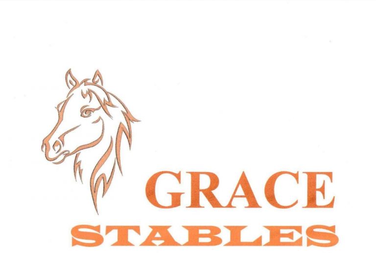 Read more about the article GRACE STABLES OFFER THREE AT TWO YEAR OLD SALE