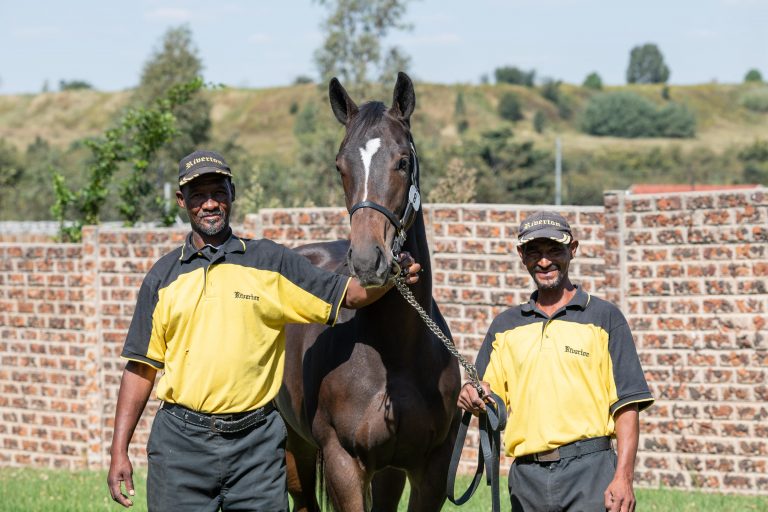 Read more about the article RIVERTON STUD BRING TWO CLASSY COLTS TO AUGUST SALE