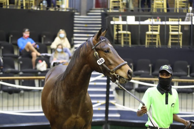 Read more about the article EVERGREEN’S CLASSY NATIONAL YEARLING SALE DRAFT