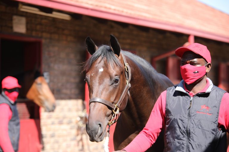 Read more about the article SANDOWN TO OFFER A STELLAR NATIONAL SALE DRAFT