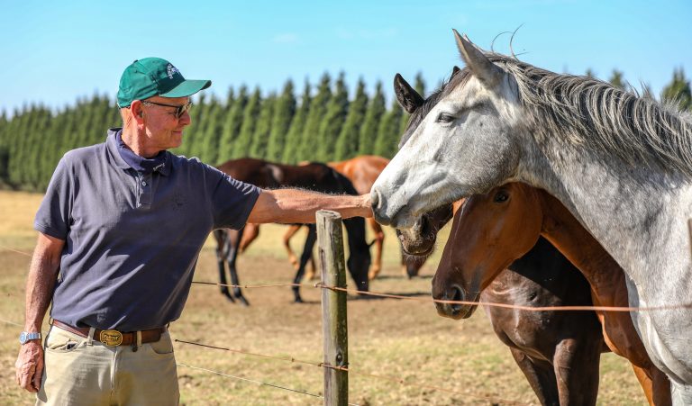 Read more about the article BLUE SKY THOROUGHBREDS TO SHINE AT KZN SALE