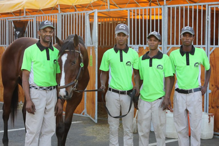 Read more about the article EVERGREEN READY TO SHINE AT KZN YEARLING SALE