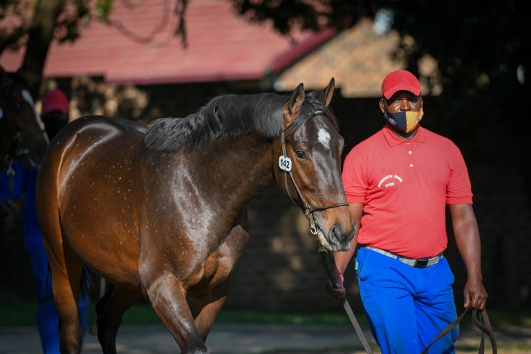 Read more about the article SKITT SKIZZLE TO SHINE AT AUGUST SALE