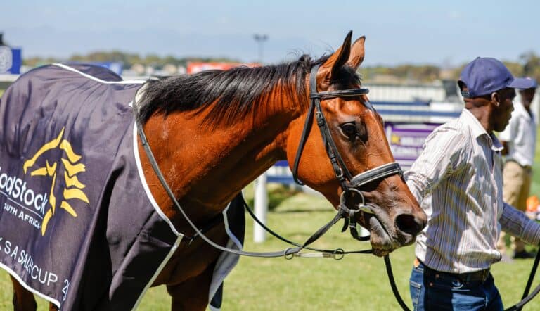 Read more about the article TWO YEAR OLDS SHINE FOR BLOODSTOCK SOUTH AFRICA