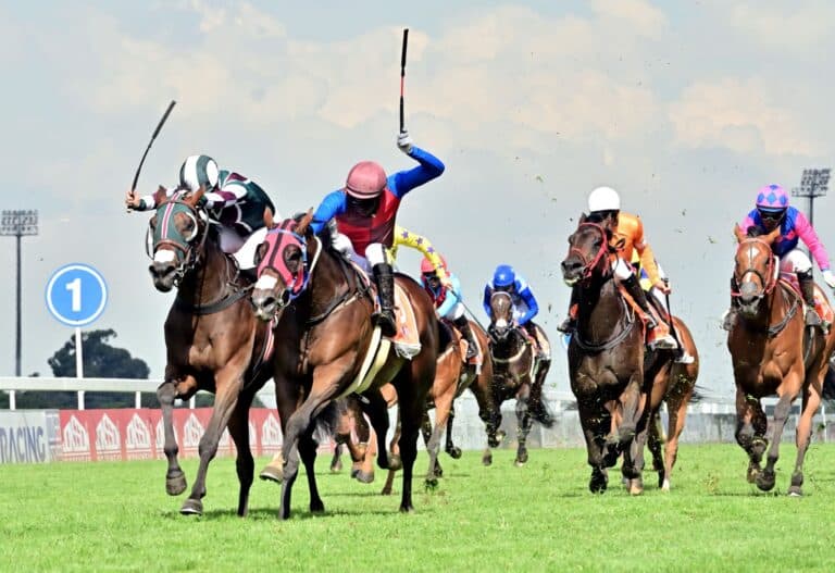 Read more about the article <strong>BLOODSTOCK SOUTH AFRICA DOMINATE GUINEAS DAY</strong>