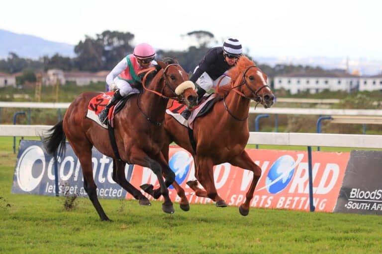 Read more about the article FEATURE RACE DOUBLE FOR BLOODSTOCK SOUTH AFRICA