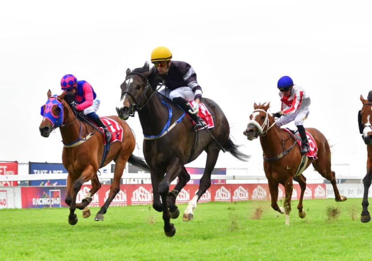 Read more about the article WHAT A WEEKEND FOR BLOODSTOCK SOUTH AFRICA!