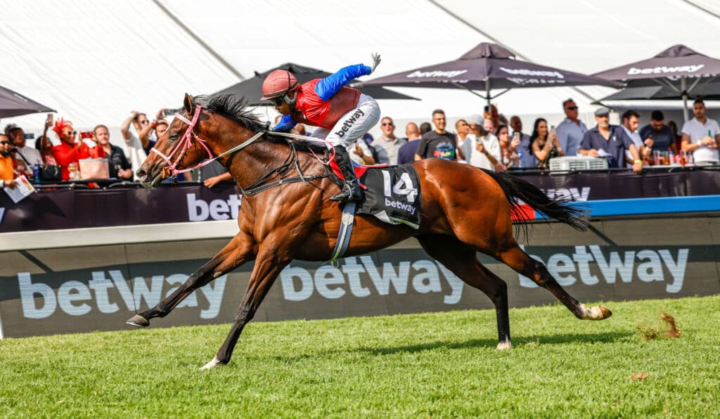 Read more about the article SUMMER CUP CLEAN SWEEP FOR BLOODSTOCK SOUTH AFRICA!