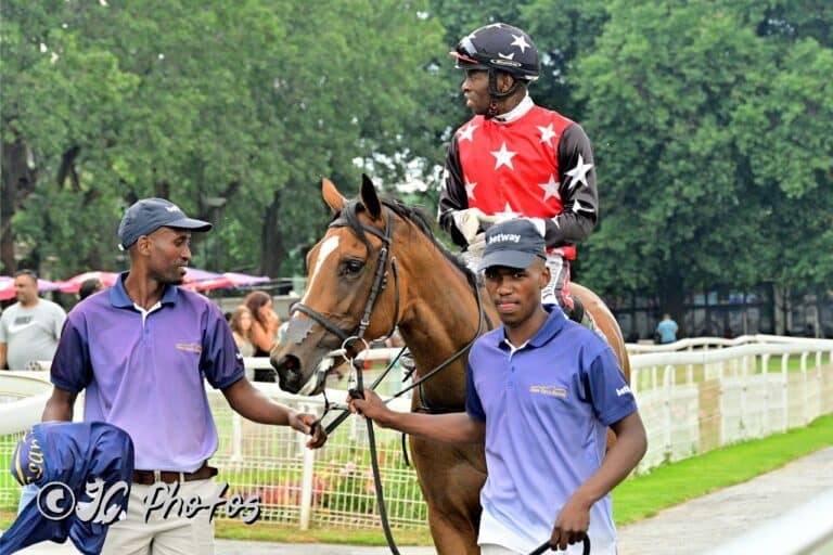 Read more about the article GRADED STAKES DOUBLE FOR BLOODSTOCK SOUTH AFRICA